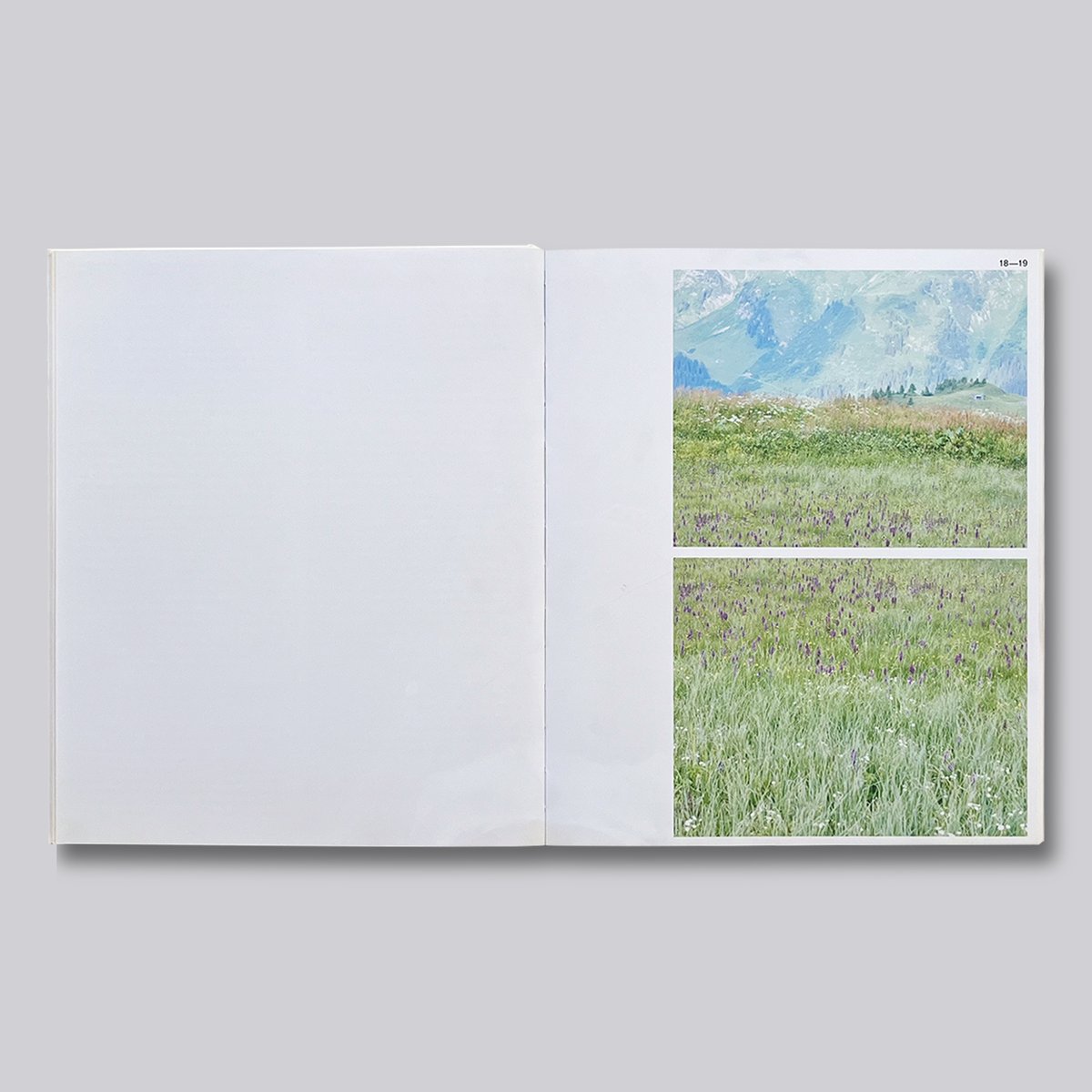 Walter Niedermayr＋SANNA ウォルター・ニーダマイヤー写真集 ウォルター・ニーダーマイヤー【Recollection】 - 京都にある