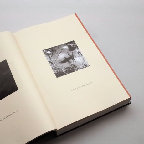 Taryn Simon / Field Guide to Birds of the West Indies