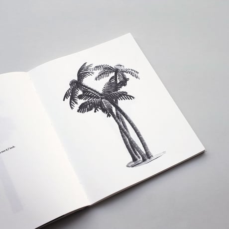 Bruno Roles / A Few Model Palm Trees
