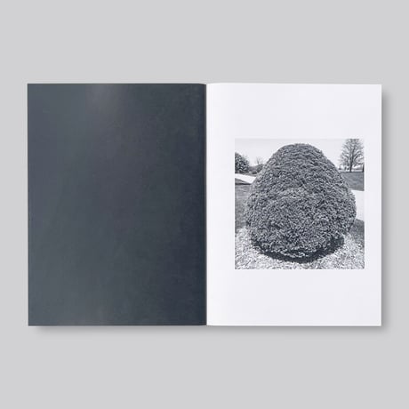Mike Slack / Shrubs of Death