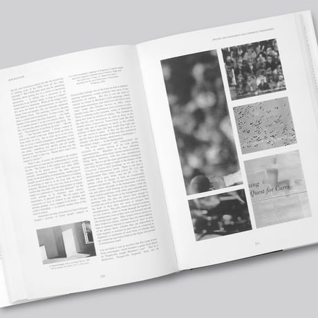 Ross Bleckner / The Paintings of Ross Bleckner