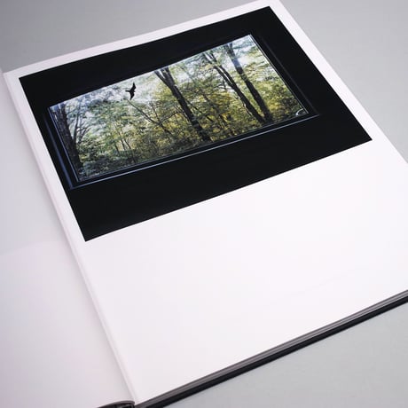 Barbara Bosworth / NATURAL HISTORIES