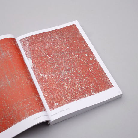 Hansjörg Mayer / Typo