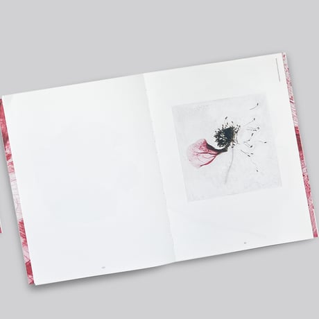 Brigitte Lustenberger / An Apparition of Memory