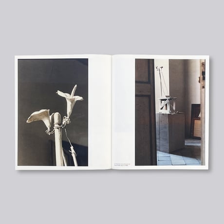 Cy Twombly / Glenstone Catalogue