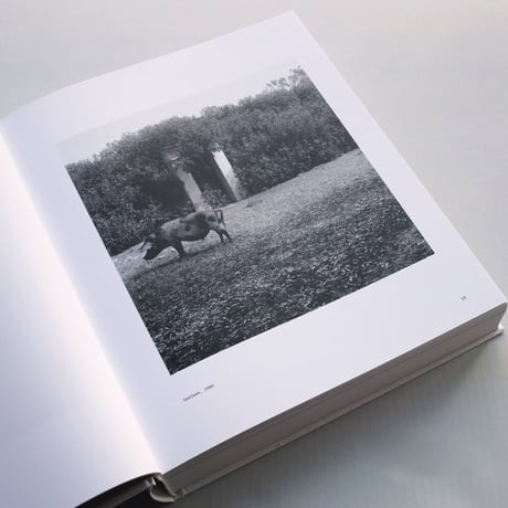 Jo Ractliffe / Photographs: 1980s - now