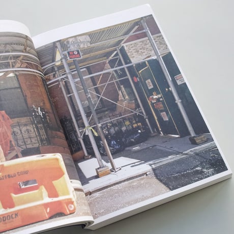 Stanley Greenberg / Springs and Wells, Manhattan and the Bronx