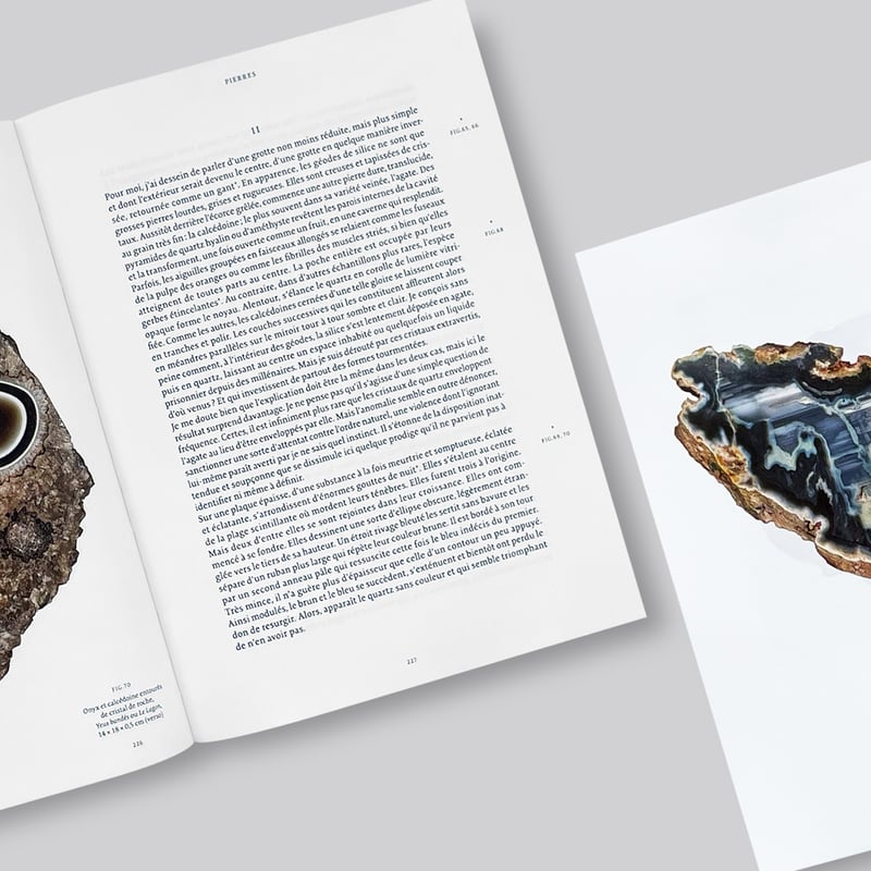 アート・デザイン・音楽 ROGER CAILLOIS LA LECTURE DES PIERRES ROGER