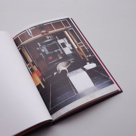 BV Doshi, Quentin de Briey / Kamala House