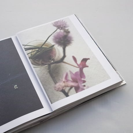 Marjin Bax / MAR (Dutch edition)