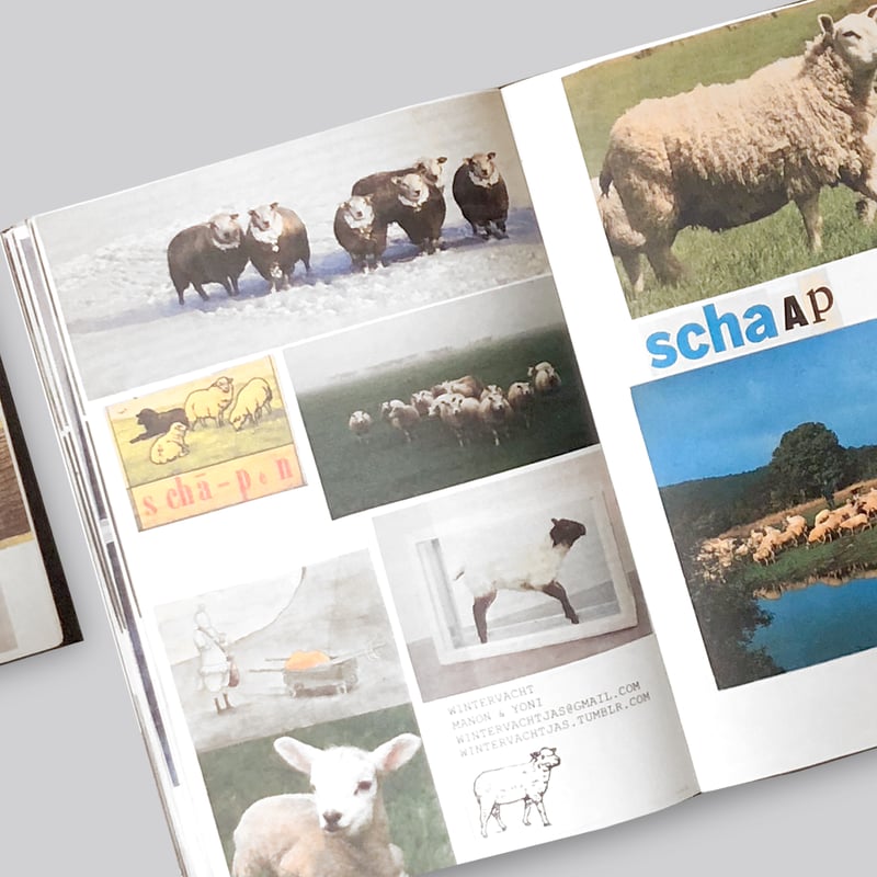 Lous Martens / Animal Books for Jaap, Zeno, Ann