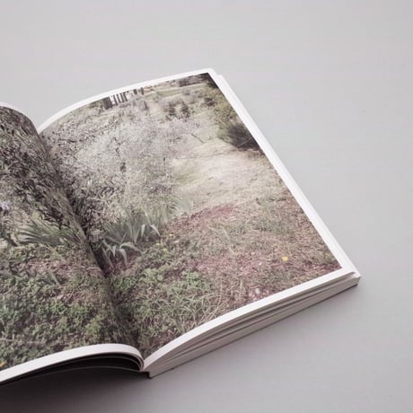 Martino Marangoni / Nonni's Paradiso - An Olive Tree Story