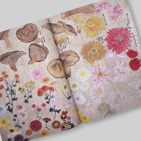See All This 24: Colour Fields, Curated By Claudy Jongstra