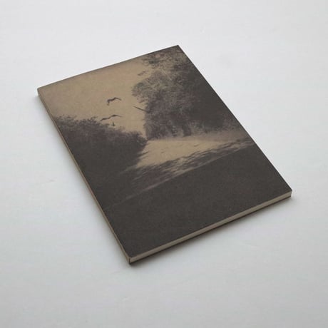 Bert Teunissen / On the Road, Everglades
