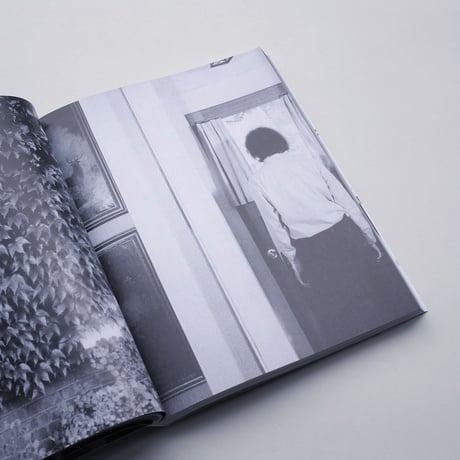 Michael Snow / Cover to Cover