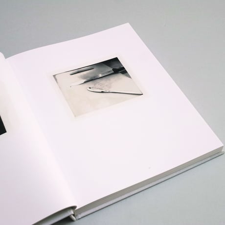 Laura Letinsky / TIME’S ASSIGNATION, THE POLAROIDS