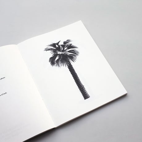 Bruno Roles / A Few Model Palm Trees