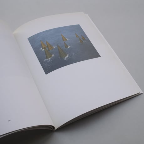 Wolfgang Laib / Wolfgang Laib
