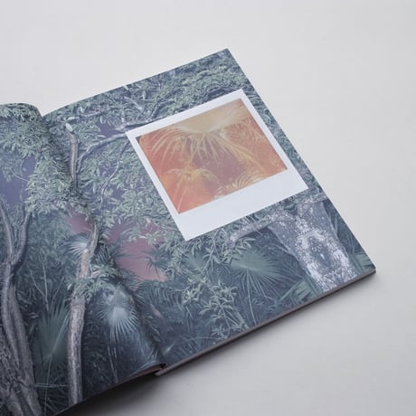 Cristina de Middel, Kalev Erickson / Jungle Check