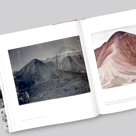 Lisa Volpe / Georgia O'Keeffe, Photographer