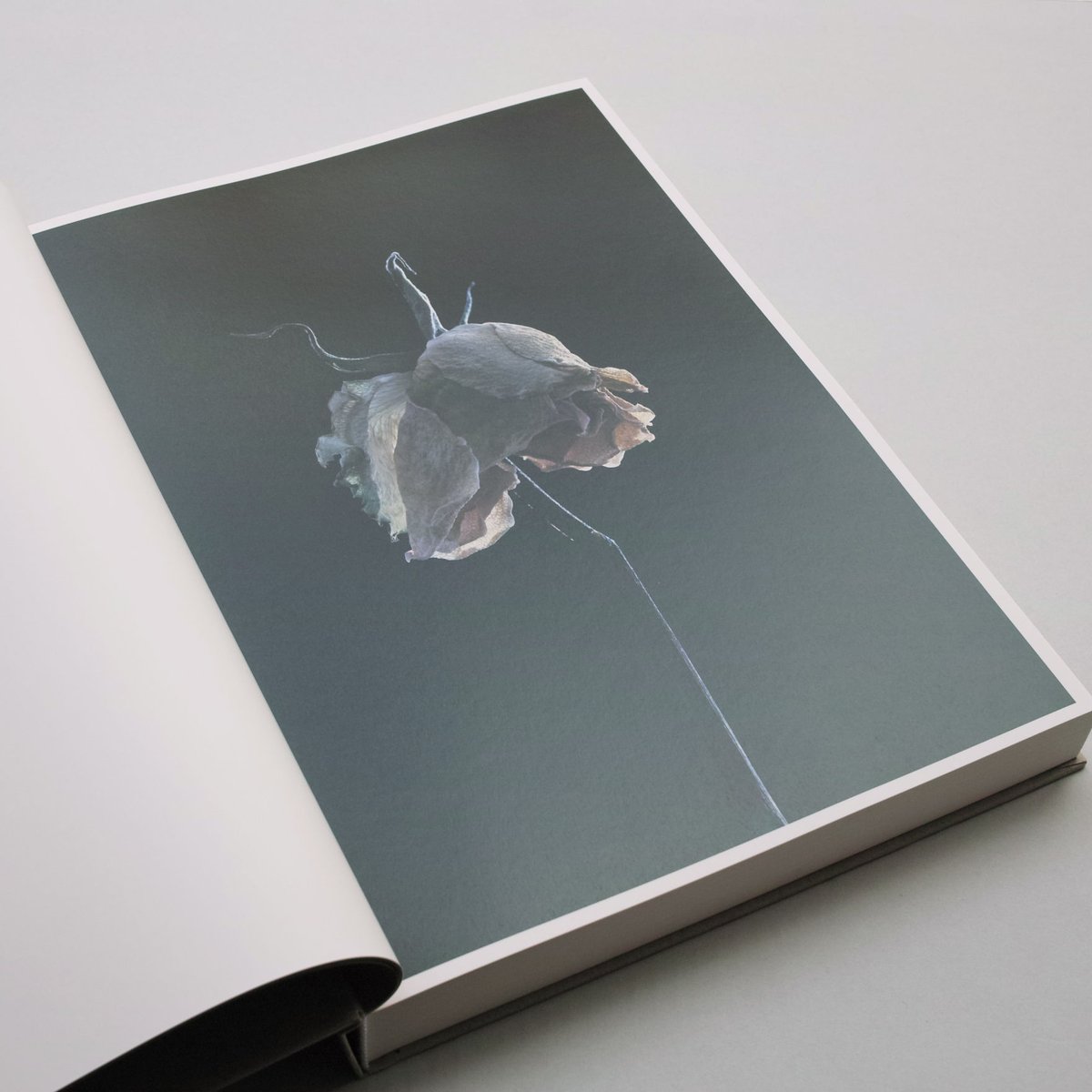 Carla van de Puttelaar / Adornments | POST