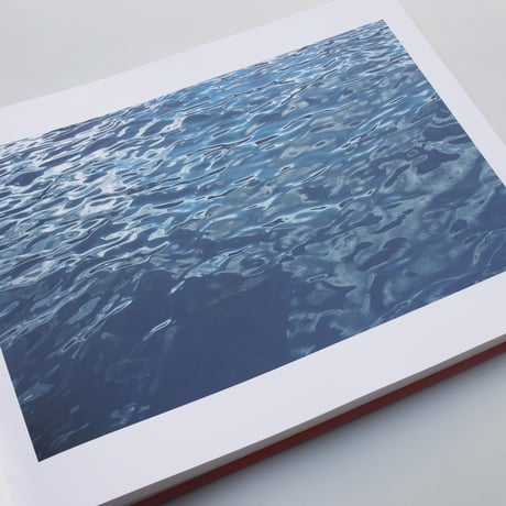 Roni Horn / Dictionary of Water
