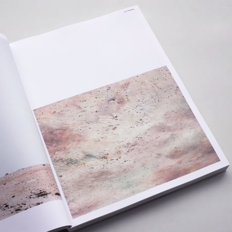 Frank van der Salm / Nowhere