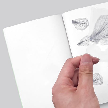 Jamie Yeo / Plant Scans