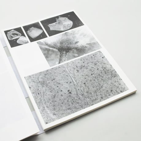 Loh Xiang Yun / Microscopic Images