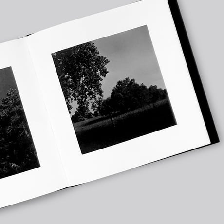 Robert Adams / Summer Nights, Walking