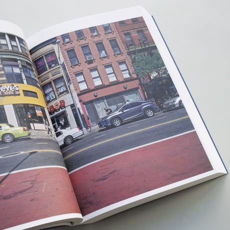 Stanley Greenberg / Springs and Wells, Manhattan and the Bronx