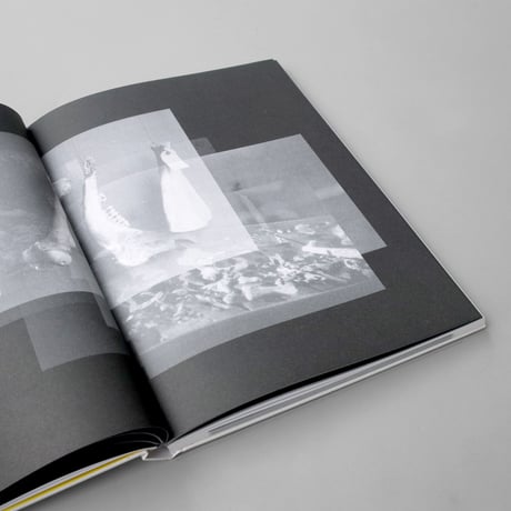 Alexandra Navratil / Brittle Land