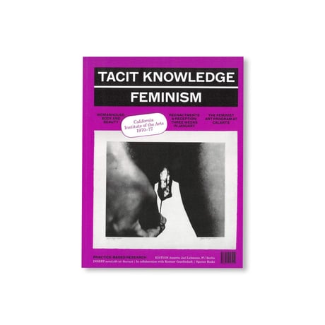 Annette Jael Lehmann /Tacit Knowledge Post Studio/ Feminism – CalArts 1970-1977