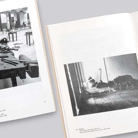 Joseph Beuys / Blitzschlag mit Lichtschein auf Hirsch