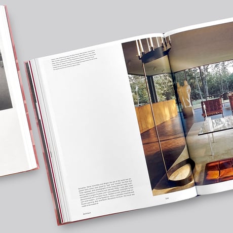 Ian Volner / Philip Johnson: A Visual Biography