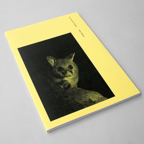 Felix Wilson / Nocturnal Ecologies