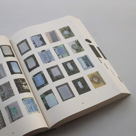 Reading the American Landscape