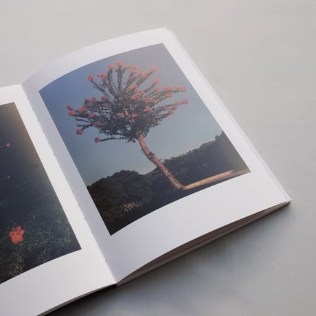 Jamie Hawkesworth &  Joan Didion / On Keeping a Notebook