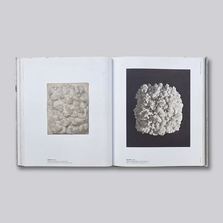 Piero Manzoni / Achrome
