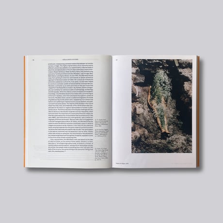 Ana Mendieta / Search for Origin