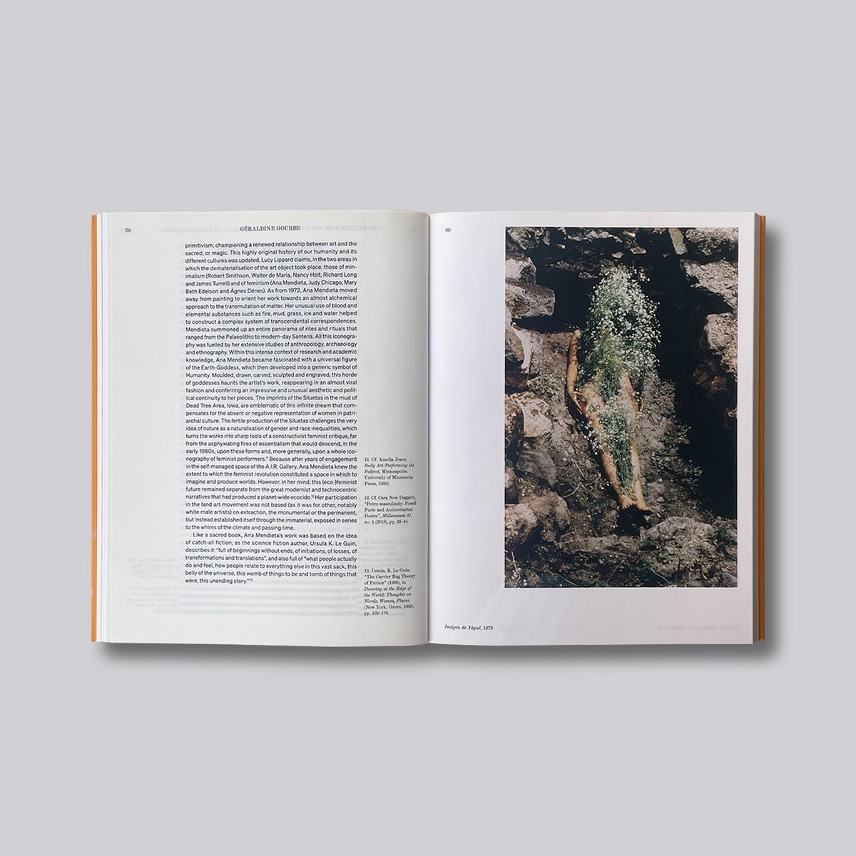 Ana Mendieta / Search for Origin | POST