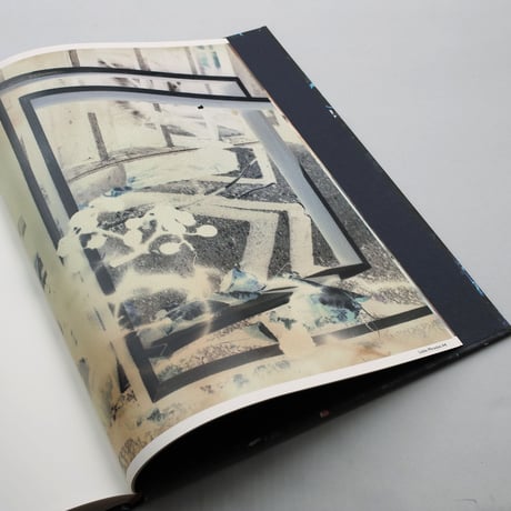 Stephen Gill / Best Before End