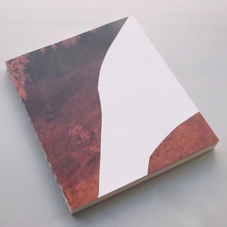 Dafna Talmor / Constructed Landscapes