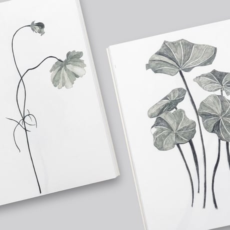 Herma de Wit / Sculptures and Drawings