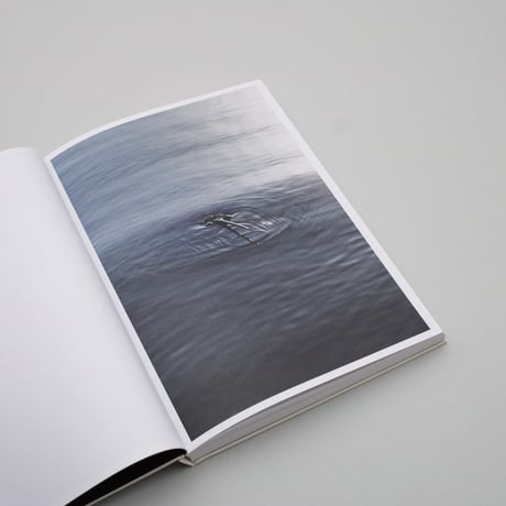 Lynn Alleva Lilley / Deep Time