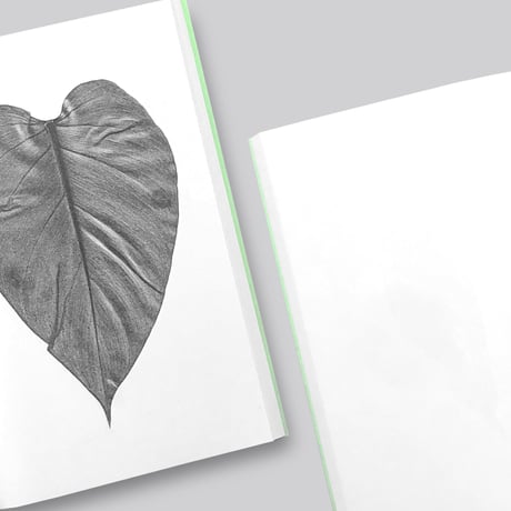 Jamie Yeo / Plant Scans