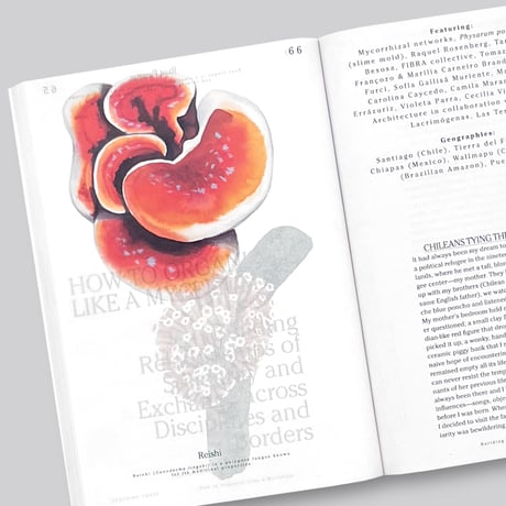 Yasmine Ostendorf-Rodríguez / Let’s Become Fungal!
