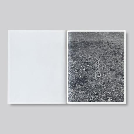 Tim Carpenter / LITTLE