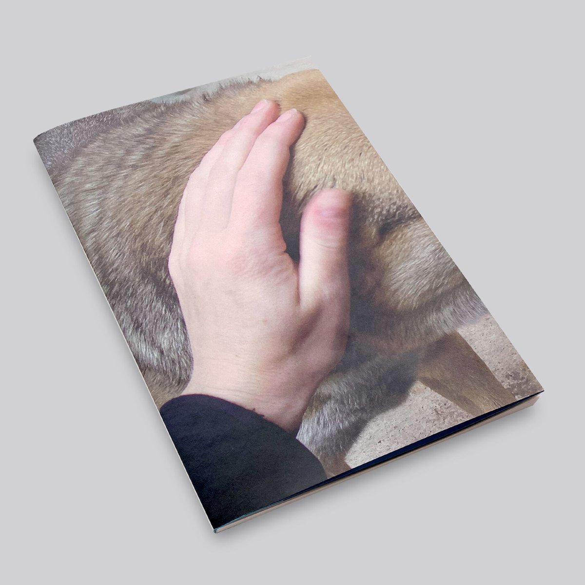 Charlotte Dumas A TERRA シャルロット・デュマ　写真集 Charlotte Dumas / A TERRA | POST