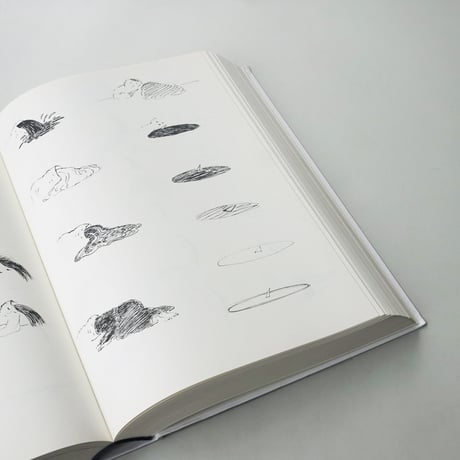 David Weiss / DIE WANDLUNGEN